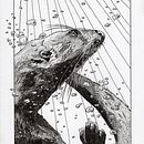 Otter - dip pen and ink. Ilustração tradicional projeto de Heather Iles - 14.04.2022