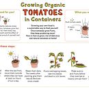 My project for course: Infographic Illustration for Children and Young Adults. Een project van Informatieontwerp,  Infographics, Kinderillustratie, Communicatie y Kinderliteratuur van Aunt Lily - 14.04.2022