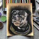 Ritratto realistico con i pastelli morbidi. Ilustração tradicional, Artes plásticas, Desenho, Desenho de retrato, e Desenho realista projeto de Alessandra CosettedArte - 15.04.2022