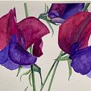 My project for course: Botanical Illustration with Watercolors. Un progetto di Illustrazione tradizionale, Belle arti, Pittura, Disegno, Pittura ad acquerello e Illustrazione botanica di Gwen Young - 14.04.2022