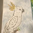 My project for course: Daily Sketching for Creative Inspiration. Un proyecto de Ilustración tradicional, Bocetado, Creatividad, Dibujo y Sketchbook de crcaraway1 - 09.05.2022