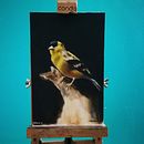 Mi Proyecto del curso: Pintura al óleo para retrato naturalista de aves. Un progetto di Belle arti, Pittura, Pittura ad olio e Illustrazione naturalistica di Michael Ortegon Viña - 19.04.2022