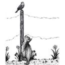 Bird Watching. Un proyecto de Ilustración tradicional, Ilustración digital, Dibujo y Dibujo digital de Shannon Carter - 19.04.2022