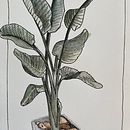 Mon projet du cours : Carnet de croquis : illustrez vos expériences personnelles. Un proyecto de Ilustración tradicional, Bocetado, Dibujo, Sketchbook e Ilustración con tinta de pierroz - 20.04.2022