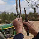 Abuelo; ¿Me ayudas? | Corto documental  Ein Projekt aus dem Bereich Kino, Video und TV, Video und Audiovisuelle Produktion von Cristian Pikeras - 23.04.2022
