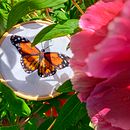 Il mio progetto del corso: Tecniche di ricamo realistico. Projekt z dziedziny Trad, c, jna ilustracja,  Haft, Wzornictwo tekst i liów użytkownika Valentina Ravetto - 24.04.2022