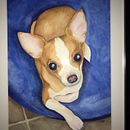 Tyson. Pintura projeto de tonifader - 24.04.2022