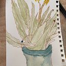 My project for course: Botanical Sketchbooking: A Meditative Approach. Un progetto di Illustrazione tradizionale, Bozzetti, Disegno, Pittura ad acquerello, Illustrazione botanica e Sketchbook di debra_roby - 25.04.2022