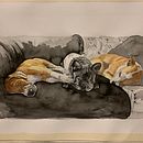 Mon projet du cours : Portraits expressifs d'animaux à l'aquarelle. Un projet de Illustration traditionnelle, Aquarelle, Dessin réaliste et Illustration naturaliste de Helene Trouvé - 25.04.2022