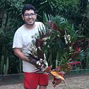 Guirlanda de Folhagens. Un proyecto de Diseño, Diseño de interiores, Paisajismo, DIY, Diseño floral, vegetal y Diseño textil de Rafael Nolêto - 25.04.2022