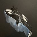 Orca on black watercolor paper . Een project van Traditionele illustratie, Posterontwerp, Digitale illustratie y Manga van Margaret Wilson - 20.04.2022