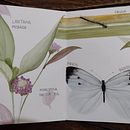 Mi Proyecto del curso: Diario naturalista en acuarela. Projekt z dziedziny Trad, c, jna ilustracja, Malowanie akwarelą, R, sunek botaniczn, Sketchbook, Ilustracja naturalist i czna użytkownika Jimena ... - 27.04.2022