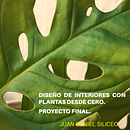Diseño de interiores con plantas desde cero. Proyecto Final.. Een project van Interieurontwerp, L, scaping,  Interieurdecoratie,  Interieur, DIY, Bloem- en plantenschikken y Ruimtelijk ontwerp van Juan Daniel Siliceo - 29.04.2022