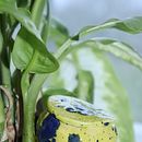 Mein Kursprojekt: Keramik: Designe und töpfere Stücke zur Pflanzenbewässerung. Un progetto di Design di accessori, Artigianato, Belle arti, Ceramica e DIY di Susanne Ehlers - 29.04.2022