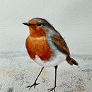 My project for course: Artistic Watercolor Techniques for Illustrating Birds. Traditional illustration, Watercolor Painting, Realistic Drawing, and Naturalistic Illustration project by Mike Jacobs - 04.29.2022