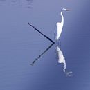 MONTERREY VIEJA CIUDAD FUNDIDA EN HIERRO. Een project van Fotografie, Digitale fotografie y Fotografische compositie van Jacobo Reyna - 29.04.2022