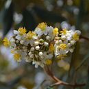 Proyecto Introducción a la fotografía digital: Jardín Botánico Bogotá . % Carlos Collazos tarafından hazırlanan Fotoğrafçılık, Ve Dijital Fotoğrafçılık projesi - 02.22.2022