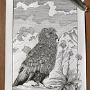 My project for course: Dip Pen and Ink Illustration: Capturing The Natural World. Un proyecto de Bocetado, Dibujo, Dibujo artístico, Sketchbook, Ilustración con tinta e Ilustración naturalista				 de alisha_ink - 30.04.2022