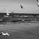 My project for course: Beginner’s Photography: Basic Camera Use and Theory. Photograph, Digital Photograph, and Photographic Composition project by Lana Beržinska - 04.29.2022
