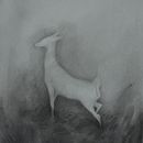 Il mio progetto del corso: Illustrare la natura: esplorazione creativa. Un projet de Illustration traditionnelle, Peinture, Dessin, Aquarelle, Illustration à l'encre et Illustration naturaliste de Martina Scarlata - 01.05.2022