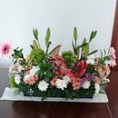 Meu projeto do curso: Design e criação de composições florais. Een project van Interieurontwerp, L, scaping,  Interieurdecoratie, DIY y Bloem- en plantenschikken van anaferreira1966 - 01.05.2022