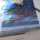 Meu projeto do curso: Introdução ao bordado em fotografias: crie imagens com texturas. Fotografia, Papercraft, Bordado, DIY, e Design têxtil projeto de clariayres - 04.05.2022