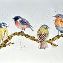 My project for course: Artistic Watercolor Techniques for Illustrating Birds. Traditional illustration, Watercolor Painting, Realistic Drawing, and Naturalistic Illustration project by Judy - 05.05.2022