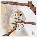 Corso: ritratti espressivi di animali ad acquerello Ein Projekt aus dem Bereich Traditionelle Illustration, Malerei, Aquarellmalerei und Realistische Zeichnung von Selene Nardelli - 07.05.2022