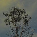 Foto proyecto colorido <3 . Un progetto di Fotografia, Ritocco fotografico, Fotografia digitale, Composizione fotografica e Teoria del colore di Harold Mora - 08.05.2022