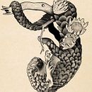 𝑃𝑎𝑛𝑔𝑜𝑙𝑖𝑚 𝑐𝑜𝑚 𝑃𝑟𝑜𝑡𝑒𝑎 𝑒 𝑡𝑟𝑜𝑛𝑐𝑜 . Ilustrație tradițională de Karine Ferreira - 02.03.2022