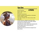 Mi Proyecto del curso: Estrategia de comunicación para redes sociales Ein Projekt aus dem Bereich Social Media, Digitales Marketing, Mobile Marketing, Marketing für Facebook, Kommunikation, Marketing für Instagram und Growth Marketing von Gisselle Villafranco - 09.05.2022