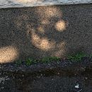 Versteckte Gesichter . Projekt z dziedziny Fotografia, Trad, c i jna ilustracja użytkownika sandra_sluis - 09.05.2022