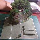 Mi proyecto del curso: Libros pop-up interactivos: crea mundos de papel. Un progetto di Artigianato, Design editoriale, Papercraft, Rilegatura, Creatività con i bambini e Illustrazione tradizionale di Cinthia Méndez - 13.05.2022