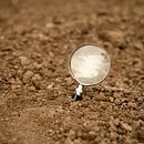 EL MICRORRELATO: El Bisturí del "Menos es Más". Un proyecto de Ilustración tradicional, Cine, vídeo, televisión, Escritura de ficción y Escritura creativa de Irene Golden - 15.05.2022