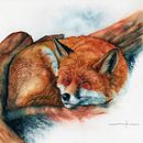 My project for course: Expressive Animal Portraits in Watercolor Ein Projekt aus dem Bereich Traditionelle Illustration, Aquarellmalerei, Realistische Zeichnung und Naturalistische Illustration von Layla Ullrich - 15.05.2022