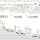 Enlarged Landscape Plan with Sectional Elevation Through Staircase. Un proyecto de Paisajismo de Jordan Felber - 16.05.2022