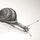 Meu projeto do curso: Ilustração surrealista com caneta fineliner Ein Projekt aus dem Bereich Traditionelle Illustration, Bleistiftzeichnung, Zeichnung, Realistische Zeichnung, Artistische Zeichnung und Illustration mit Tinte von Pedro Correia - 16.05.2022