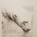 Pencil Drawings Part 2. Un progetto di Illustrazione tradizionale di Kevin Walsh - 16.05.2022