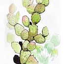Nature studies. Un proyecto de Sketchbook e Ilustración tradicional de Johanna Forster - 17.05.2022