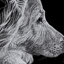 Hollie. Un proyecto de Ilustración digital, Ilustración tradicional, Dibujo digital, Dibujo y Dibujo realista de Shannon Carter - 18.05.2022