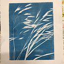 Mon projet du cours : Cyanotype : technique d'impression à la lumière . Arte și meșteșuguri, Arte plastice, Tipărire, DIY și Fotografie de film de florette04 - 05.19.2022