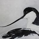 Acrylic Bird painting. Projekt z dziedziny Malarstwo akr i lowe użytkownika Claudi Lourens - 21.05.2022