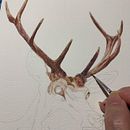 Estudo do cervo. Watercolor Painting project by Cristina Caggiano C - 05.21.2022