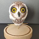 Felted owl. Projekt z dziedziny Craft, To, art, Filcowanie igłą i Rzeźba użytkownika Granel Milou - 23.05.2022