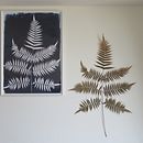 My project of cyanotype. Arts, Crafts, Fine Arts, Printing, DIY, and Film Photograph project by Tsui-Han Lai - 05.21.2022