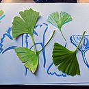 My project for course: Illustrating Nature: A Creative Exploration. Traditional illustration, Painting, Drawing, Watercolor Painting, Ink Illustration, and Naturalistic Illustration project by astridcoxon - 05.24.2022