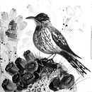 My project for course: Illustrating Nature: A Creative Exploration. Un projet de Illustration traditionnelle, Peinture, Dessin, Aquarelle, Illustration à l'encre et Illustration naturaliste de Julina Cane - 26.05.2022