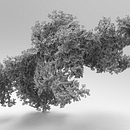 AGGREGATION, Venice Biennale. Design, Traditional illustration, L, and scape Architecture project by Chantal Matar - 05.28.2022