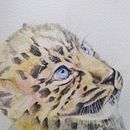Mi proyecto del curso: Retratos expresivos de animales en acuarela. Un proyecto de Ilustración tradicional, Pintura a la acuarela, Dibujo realista e Ilustración naturalista				 de Alfredo Esteban Salazar Borja - 29.05.2022