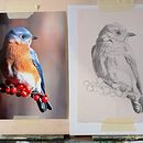 Il mio progetto del corso: Pittura a olio classica per ritratti naturalistici di uccelli Ein Projekt aus dem Bereich Bildende Künste, Malerei, Ölmalerei und Naturalistische Illustration von Daniela Guarriello - 30.05.2022
